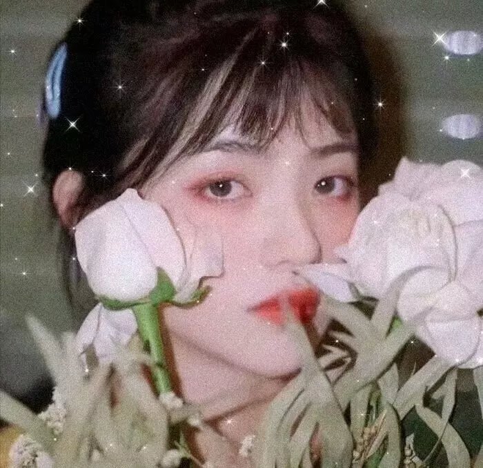 美少女学院 封面
