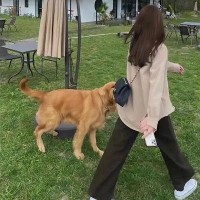 少女最摇摆 封面